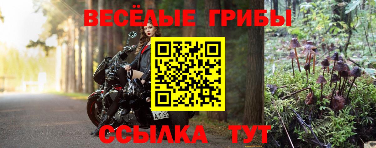 Галлюциногенные грибы мухоморы Ленинск-Кузнецкий