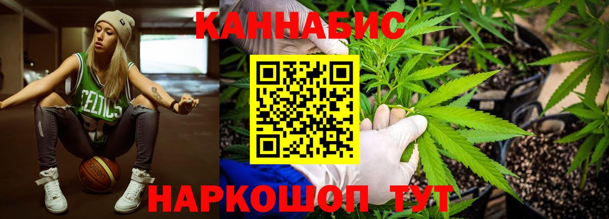 Каннабис индика Ленинск-Кузнецкий